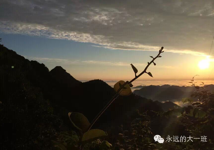 『读·行修』队员武当游记(之三)|爸爸(妈妈)去哪儿之--问道武当山