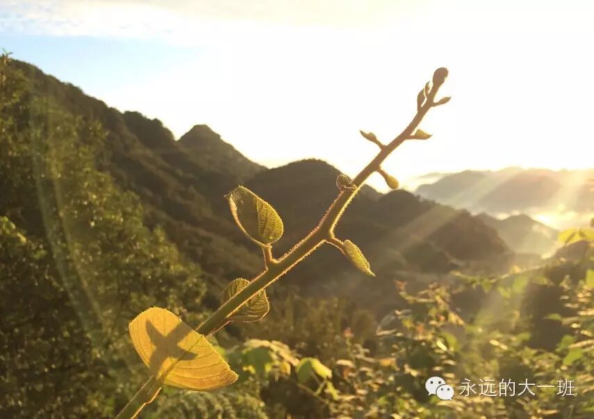 『读·行修』队员武当游记(之三)|爸爸(妈妈)去哪儿之--问道武当山