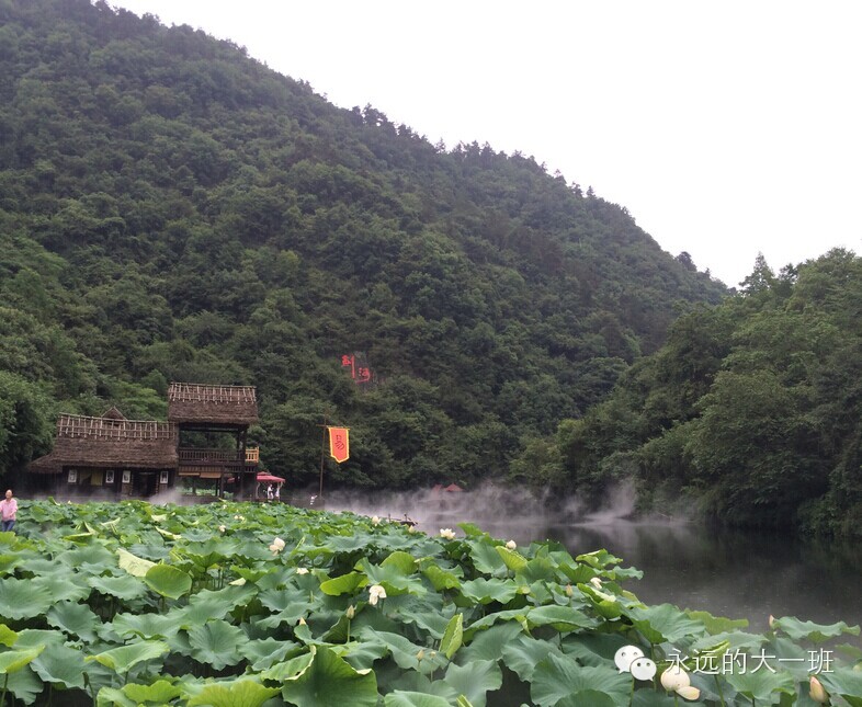 『读·行修』队员武当游记(之四)|爸爸(妈妈)去哪儿之--问道武当山