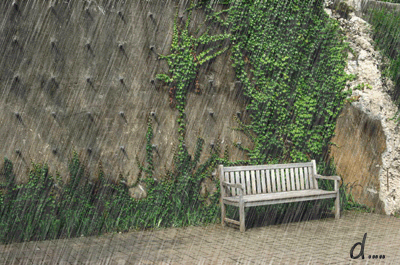 沾衣欲湿杏花雨, 吹面不寒杨柳风.