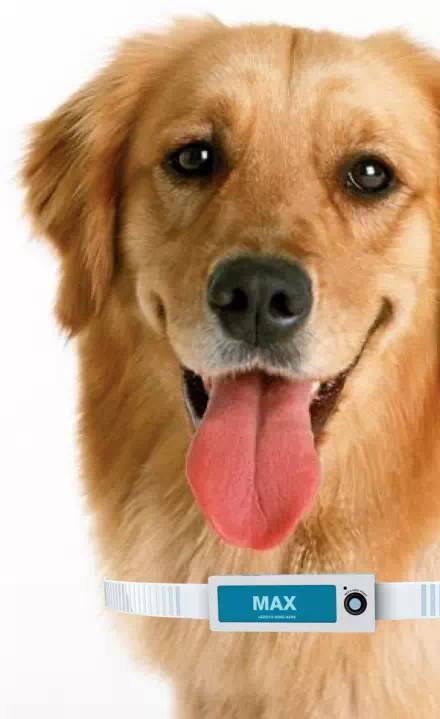 世界最新潮的40件商情将改变你今后的生活