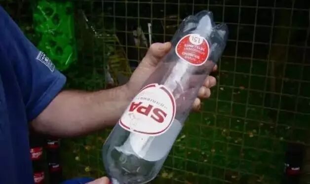 园艺丨阳台上种菜、种花的超级大招！