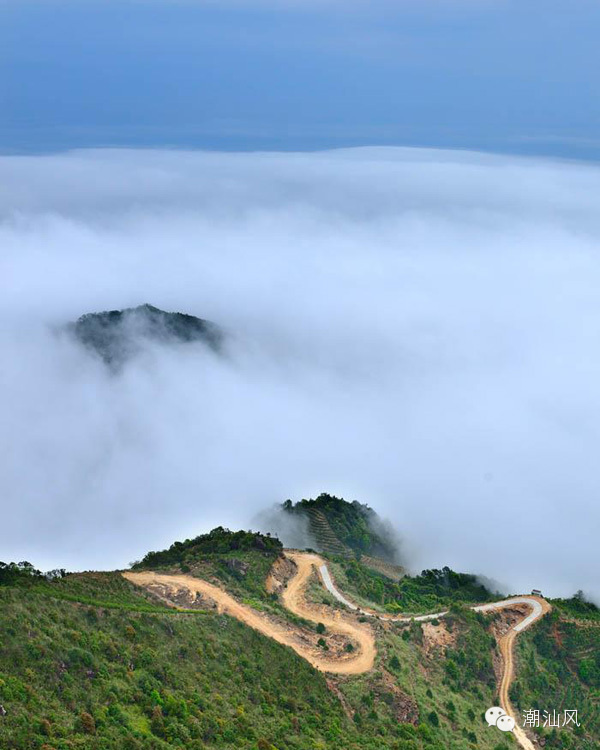 【益茶网】潮州凤凰山美景