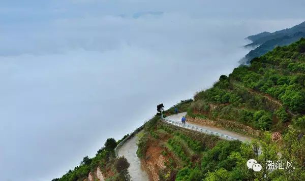 【益茶网】潮州凤凰山美景