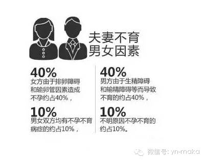 二胎全面放开后,玛咖助你摆脱不孕不育烦恼-怀孕期