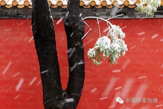 陪你去故宫看雪