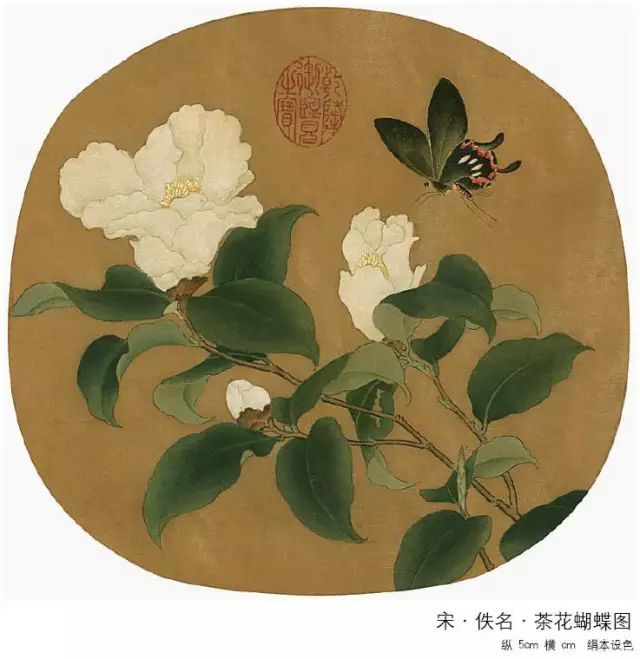 宋 佚名 茶花蝴蝶图