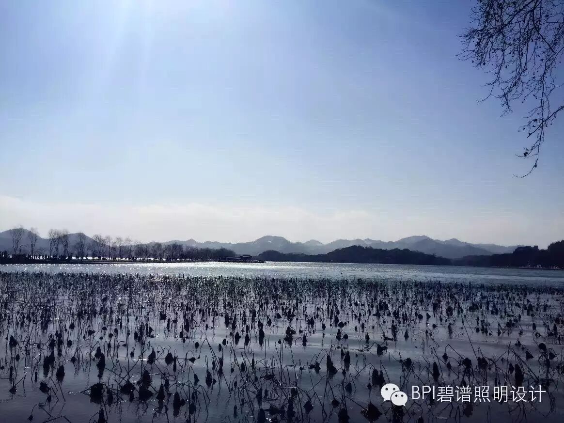 2016年度bpi年会于杭州圆满闭幕