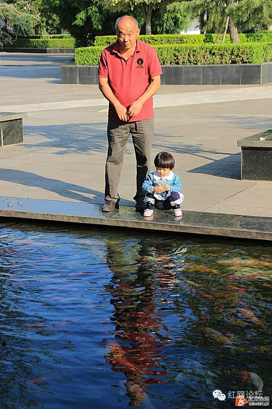 二胎来袭,别让老人们成为＂带娃奴＂-怀孕期