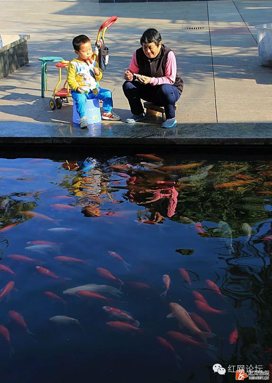 二胎来袭,别让老人们成为＂带娃奴＂-怀孕期