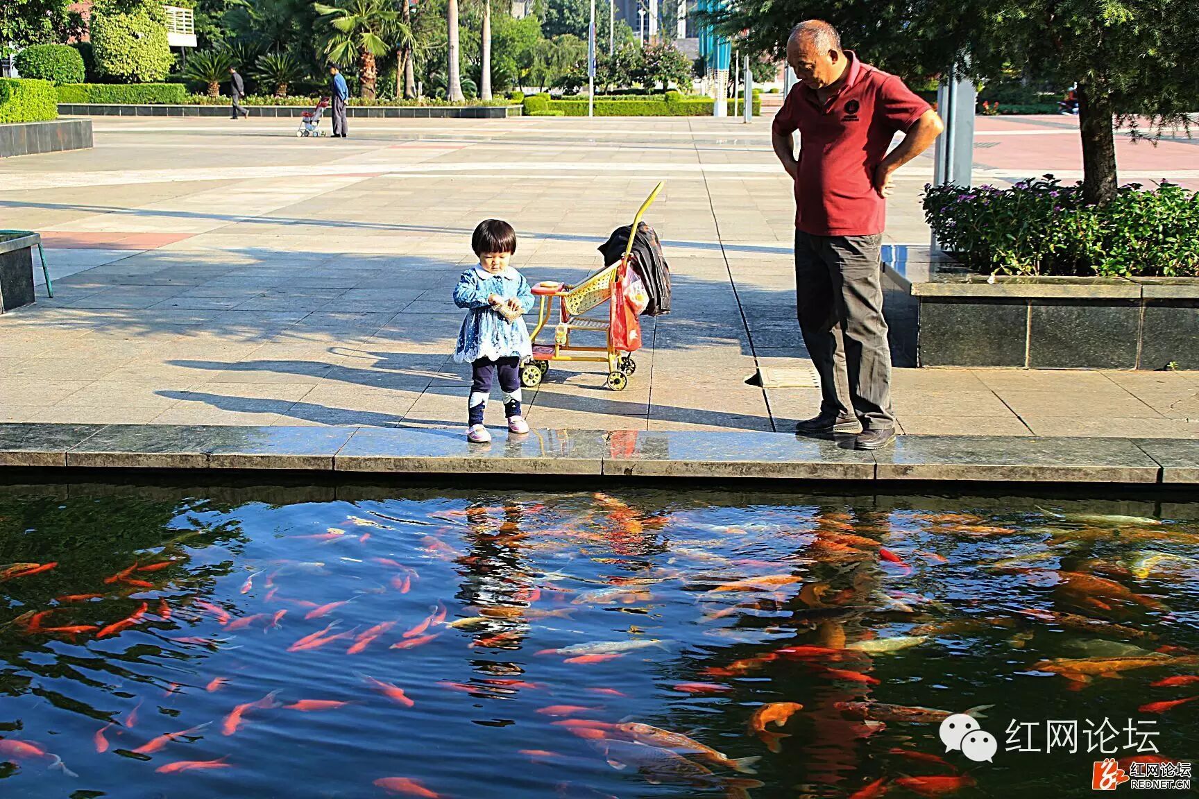 二胎来袭,别让老人们成为＂带娃奴＂-怀孕期