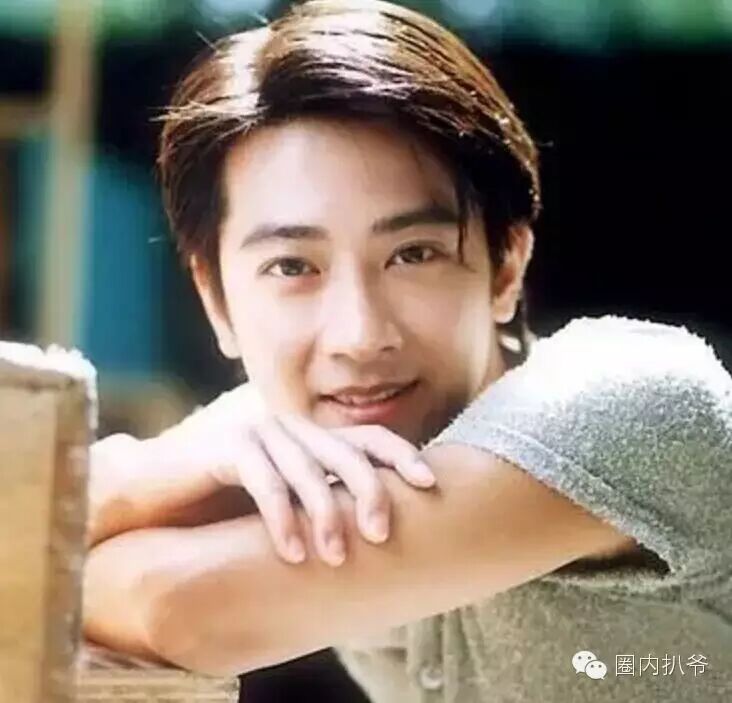 实力碾压钟汉良,名气比肩林志颖,小天王孙耀威怎么混成...