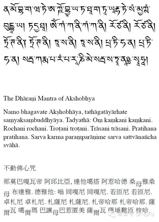 第十七世大宝法王噶玛巴念诵《不动佛心咒》视频