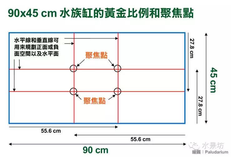 养鱼知识