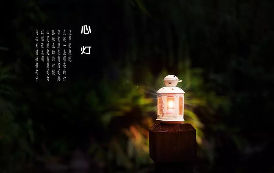 心 灯563 / 作者:雪碧云飘飘 / 帖子ID:107370 心 灯563 / 作者:雪碧云飘飘 / 帖子ID:107370