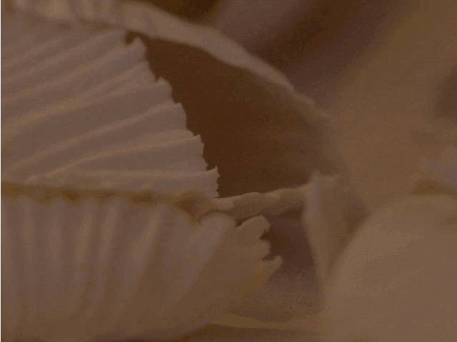 走马观灯 | 看77岁艺术家如何打造优雅陶瓷灯