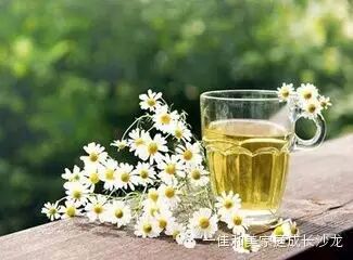 【一佳和美.成长】李健:迷茫时,就去寻找生活的乐趣