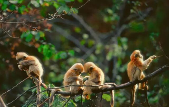 武汉市是哪个省_生源地是省还是市_厦门是省还是市