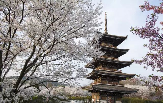 厦门是省还是市_生源地是省还是市_武汉市是哪个省