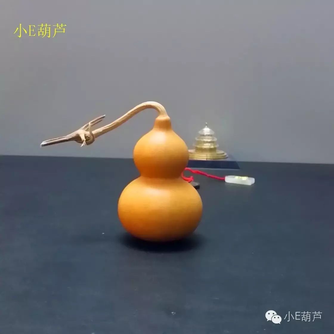 小e教您如何处理葫芦的"龙头"——第5期
