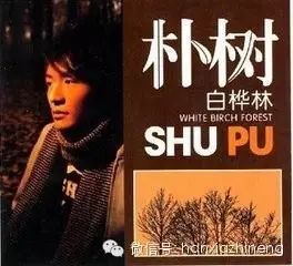 朴树---《白桦林》