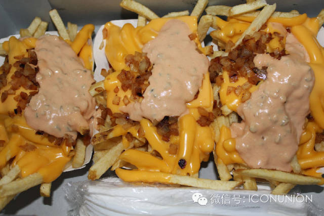 Animal style fries