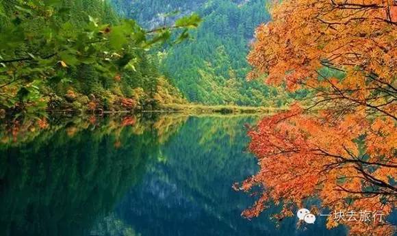 四川最美的15個紅葉區，一到秋天就燃成一片片紅海！ 旅行 第53張