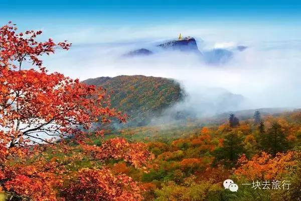 四川最美的15個紅葉區，一到秋天就燃成一片片紅海！ 旅行 第44張