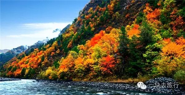 四川最美的15個紅葉區，一到秋天就燃成一片片紅海！ 旅行 第78張