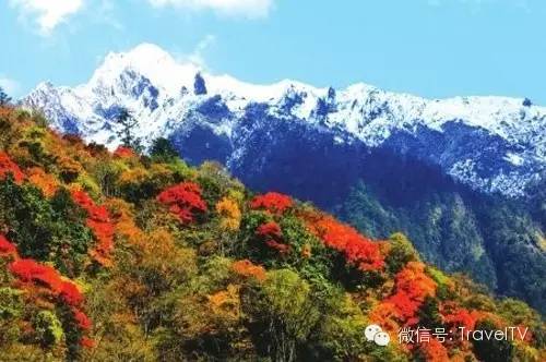 四川最美的15個紅葉區，一到秋天就燃成一片片紅海！ 旅行 第47張
