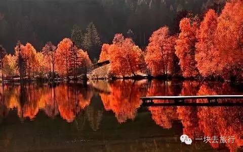 四川最美的15個紅葉區，一到秋天就燃成一片片紅海！ 旅行 第23張