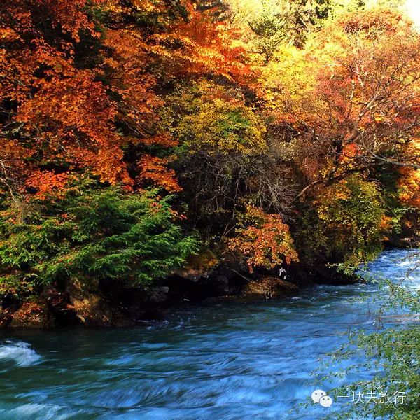四川最美的15個紅葉區，一到秋天就燃成一片片紅海！ 旅行 第22張