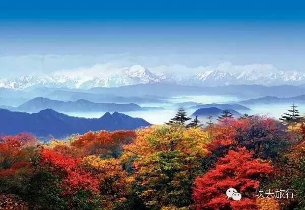 四川最美的15個紅葉區，一到秋天就燃成一片片紅海！ 旅行 第40張
