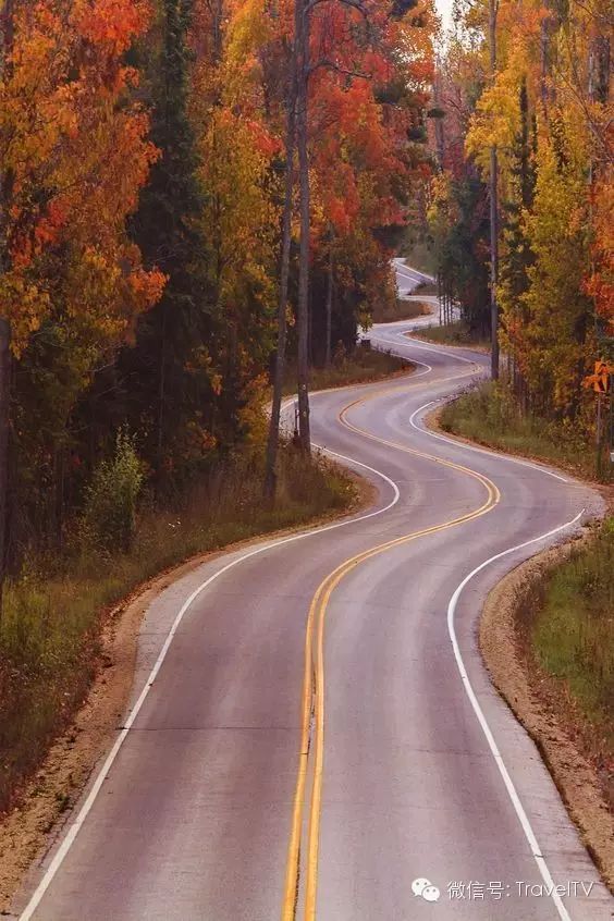这条唯美的乡村公路位于美国威斯康星州多尔县(门县),一直是众人最