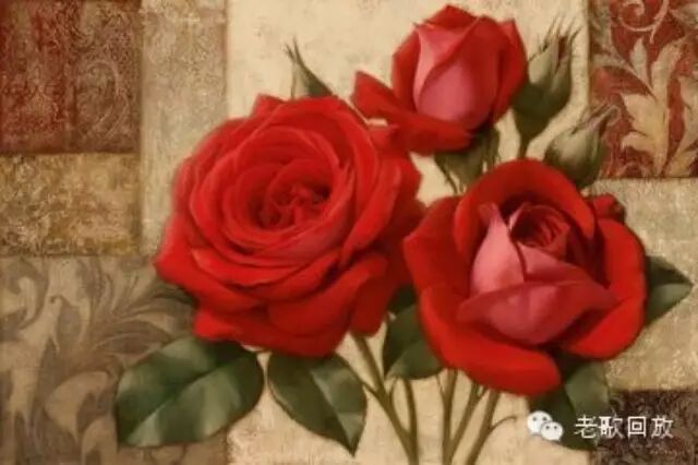 苏菲玛索、刘欢合唱《玫瑰人生》