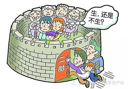 再生二胎的要详细研究-怀孕期