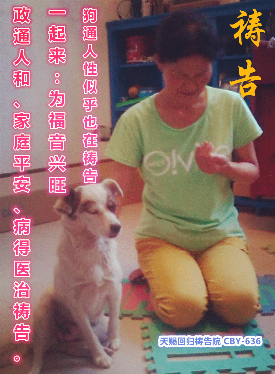 为可怜绝望的av祷告让他早日康复