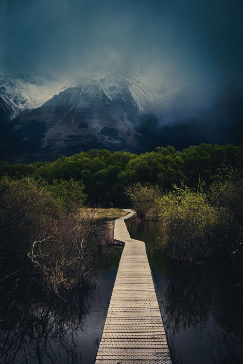 这世上有一种美叫：新 · 西 · 兰（多图）