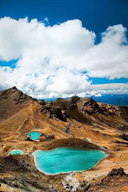 这世上有一种美叫：新 · 西 · 兰（多图）