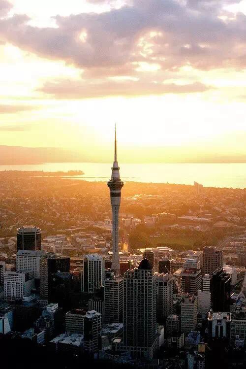 这世上有一种美叫：新 · 西 · 兰（多图）