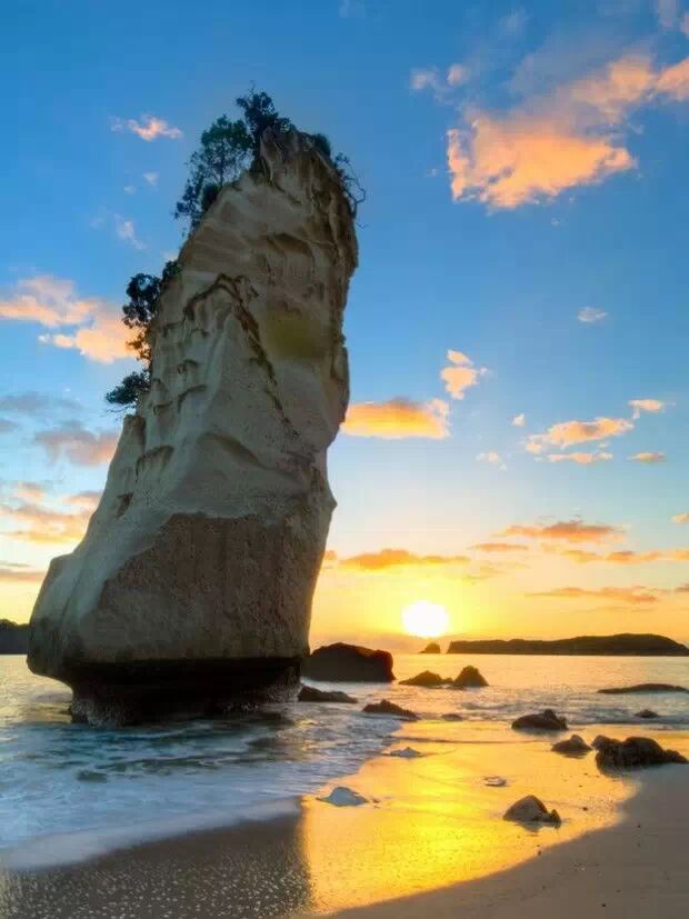 这世上有一种美叫：新 · 西 · 兰（多图）