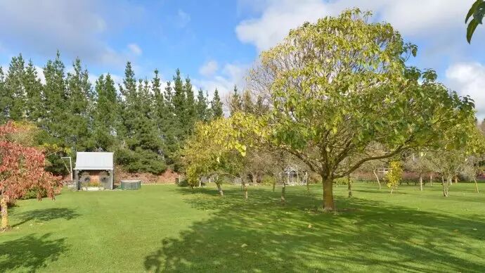 生活在新西兰，如同住在画里（多图）