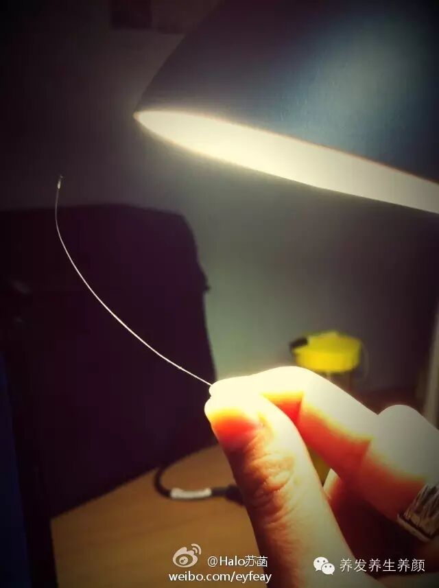 拔掉的白发能斩草除根吗？那拔出的白色部分是毛囊吗？