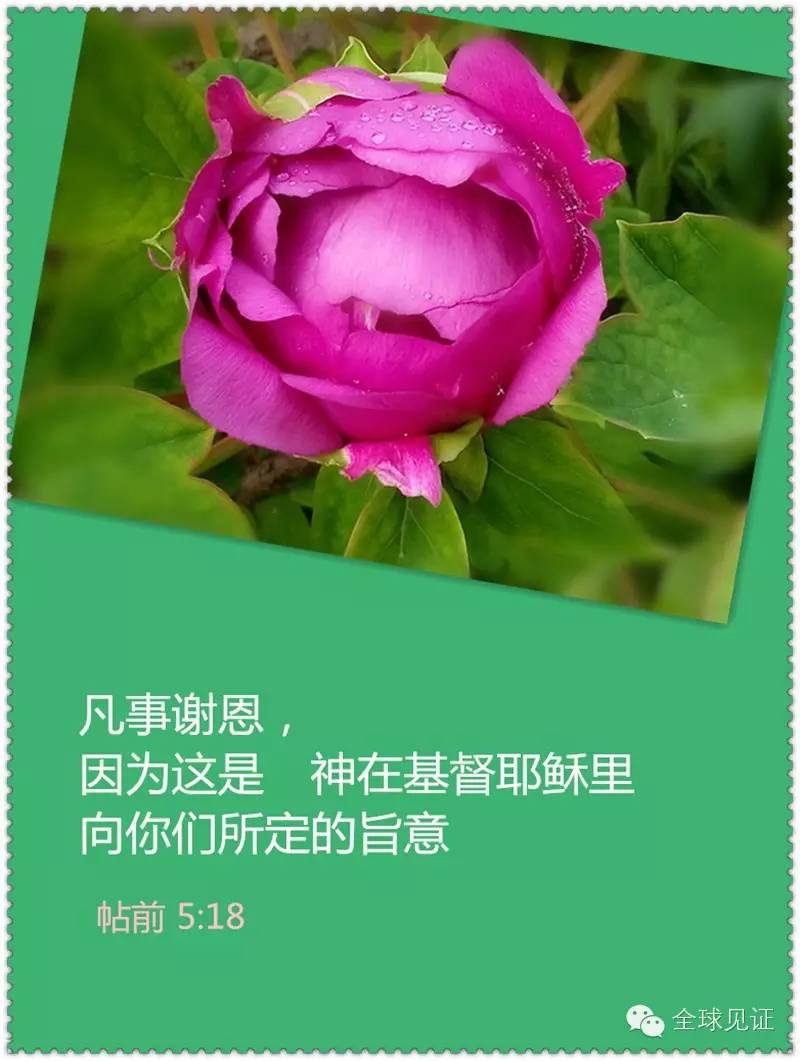【美图圣经】浅谈祷告