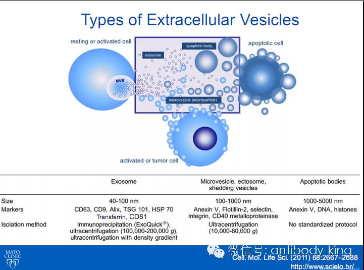 微信群讲座海报:Exosome in liver disease,外泌体相关哦...