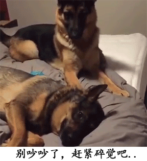 03 你外面是不是有狗了,你缩话啊,缩话啊!