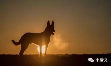 【神回复】库里初吻竟是订婚后?小学生大概以为接吻会怀孕吧…-怀孕期