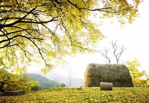 河南林州市属于哪个市_自己qq号怎样快速上榜_qq昵称上榜号