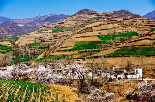 qq昵称上榜号_自己qq号怎样快速上榜_河南林州市属于哪个市