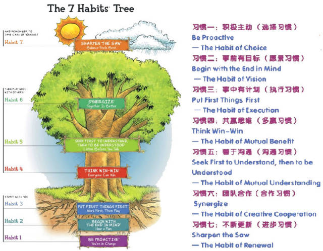 美国家长最关注孩子的7个好习惯 美国家长最关注孩子的7个好习惯